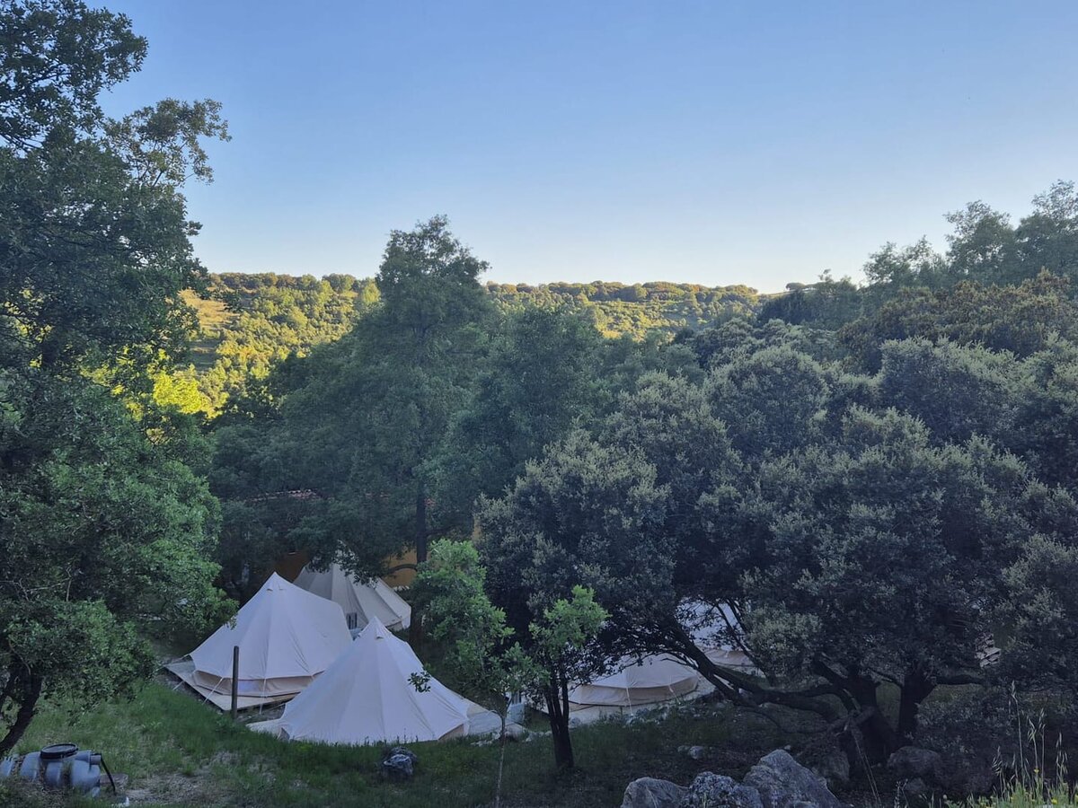 Glamping